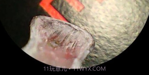 洁世家健康v6.13截图