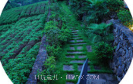 Ocamera appv2.5.13截图