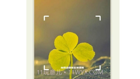 拍照识花大师v1.0.13截图