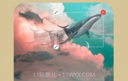 动感视频相册v1.0.17截图