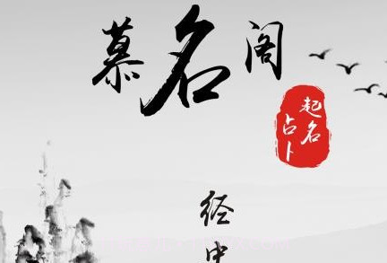 慕名阁起名v1.8截图