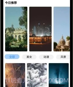 枫叶壁纸v1.0.16截图