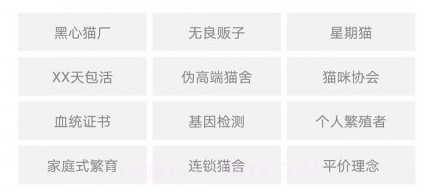 家连猫舍v1.1.14截图