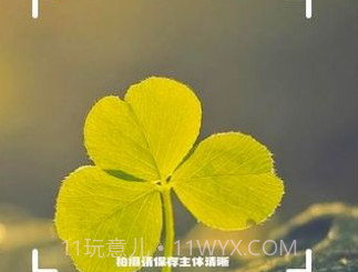神农百草识别v1.11截图