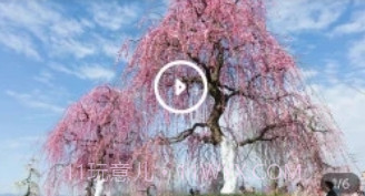 问花之家v1.0.9截图