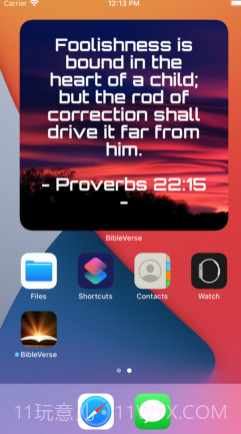 Biblev5.3.15截图