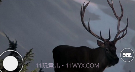 恐怖森林猎人v1.11截图