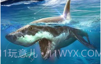 全民钓鱼2链接v2.4.11截图