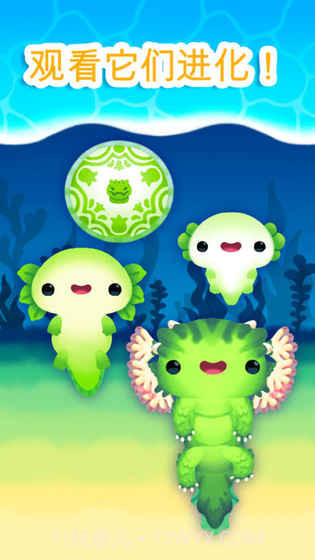 Axolochi 萌宠蝾螈v2.31.12截图