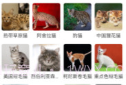 图灵扫描王v1.0.13截图