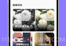 大杏匣子v1.0.13截图