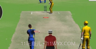 板球比赛冠军3Dv1.15截图