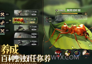 小小蚁国单机版v1.55.15截图