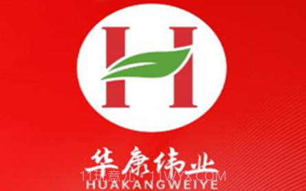 华康伟业v1.17截图