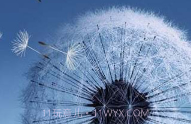 Galaxy S3/S4 动态壁纸v1.8.13截图