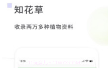 一花草v1.0.17截图