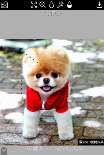 DSLR模糊效果1.6截图