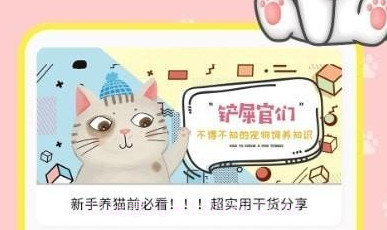 宠本本v1.0.10截图