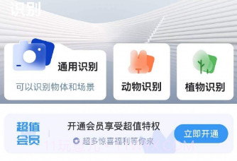 问夏扫描v1.0.11截图