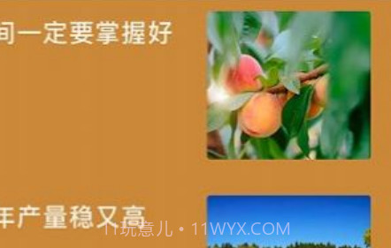 田园小院子v1.0.17截图