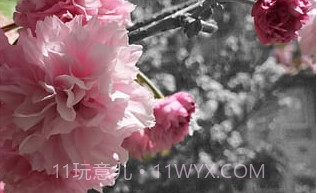 Adobe Photoshop MixV2.8.12截图