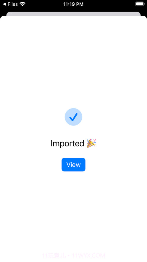 隐私洞见中文版1.17截图