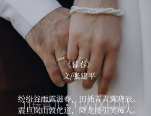 语鹿v1.0.16截图