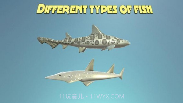 真正的鲨鱼模拟器1.18截图