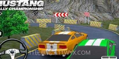 赛车拉力锦标赛v2.20截图