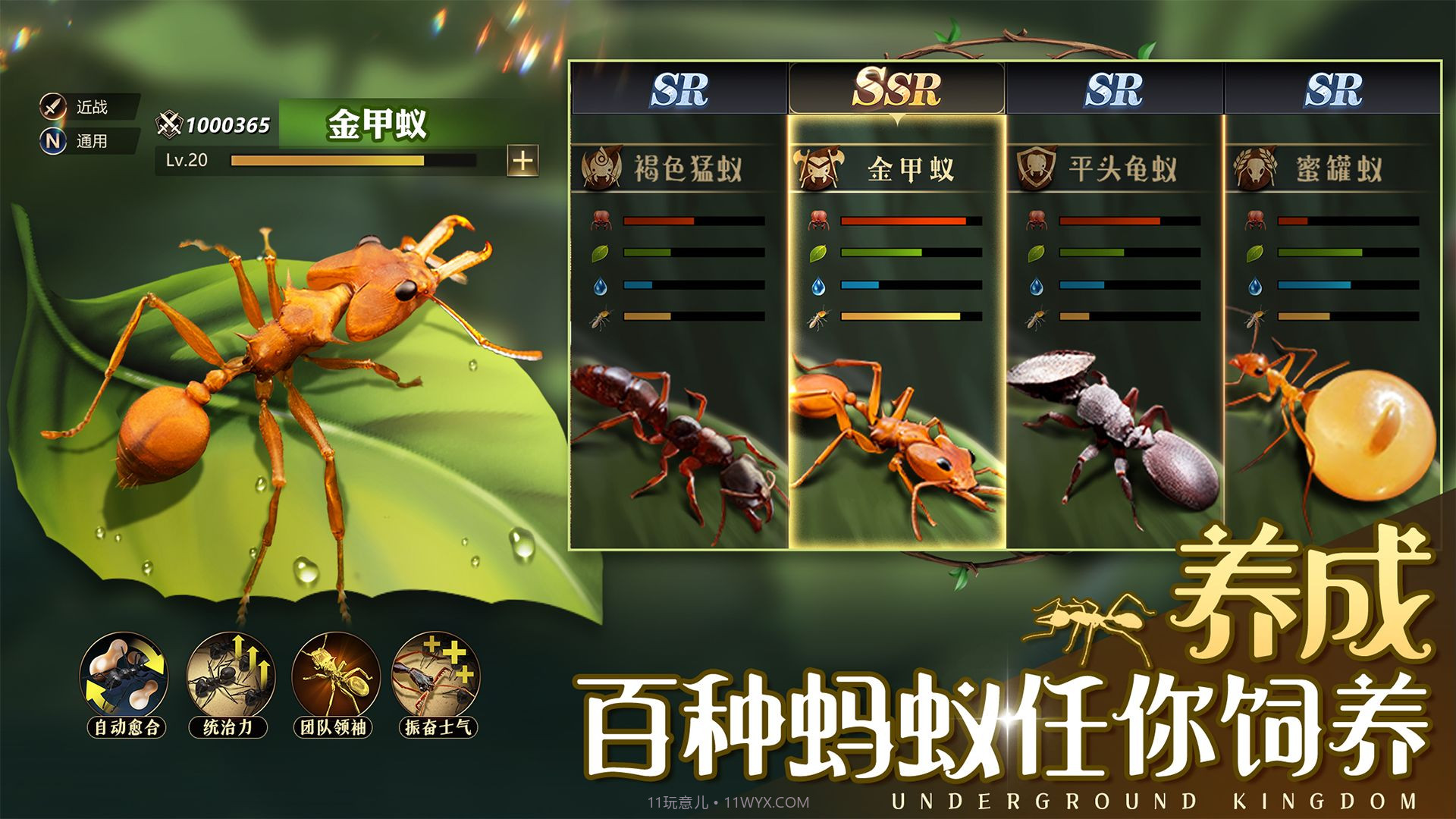 小小蚁国37v1.31.18截图