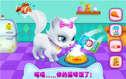 我的喵星朋友1.14截图