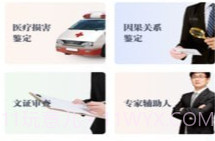 天平咨询V1.0.13截图