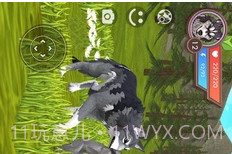 3D动物模拟器13.16截图