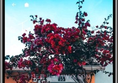 纸塘壁纸高级版v1.6.23截图