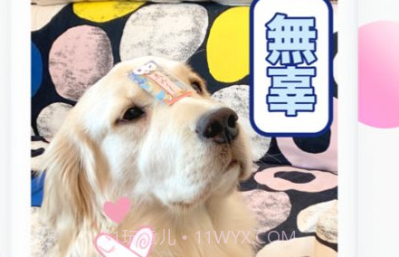 抖音投屏版v23.7.15截图