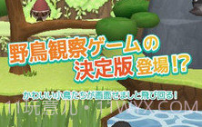 小鸟观察器V3.1.17截图