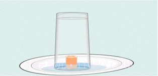 科学活动v1.0.18截图