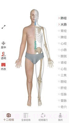3D BODY(经络穴位3D)2.1.15截图