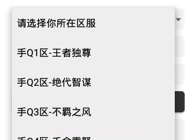 王者任意充值v2.17截图