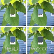 pantonev1.7.18截图