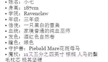 巫师人设生成器v1.18截图