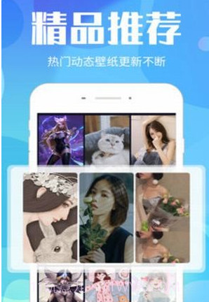 视频桌面v3.0.24截图