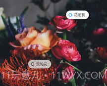 小米智能识物v0.8.18截图