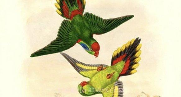 青鸟看看v2.0.22截图