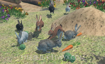 兔子朋友v1.3.22截图