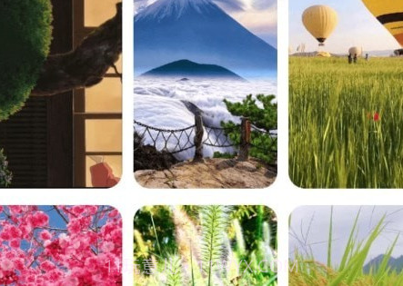 福寿充电v2.0.23截图