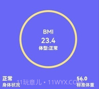 小小整理袋计算器v1.0.19截图