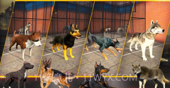 三角洲部队突击队v1.0.24截图