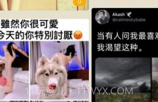 小小品v1.0.23截图