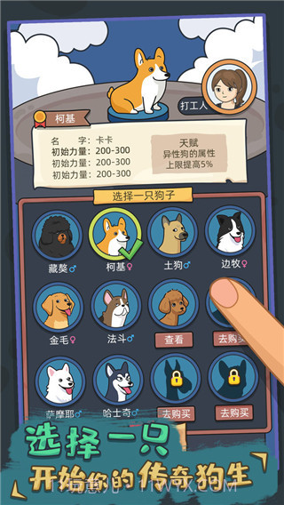 狗生模拟器存档版1.0.9截图